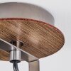 Bitterroot Plafondlamp Bruin, Hout donker, 1-licht