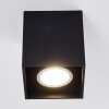 Awuna Plafondlamp Zwart, 1-licht