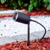 Froslev Tuinspies LED Zwart, 1-licht