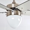 Ellmau plafondventilator Chroom, Grijs, Wit, 1-licht