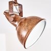 Tina Plafondlamp Roest, 4-lichts Tina Plafondlamp Roest, 4-lichts