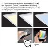Paul Neuhaus Q-Flag Plafondpaneel LED Wit, 1-licht, Afstandsbediening