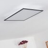 Salmi Plafondlamp LED Grijs, Wit, 1-licht