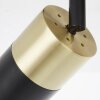 Brilliant Maribel Spotbalk plafond Messing, Zwart, 2-lichts