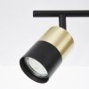 Brilliant Maribel Spotbalk plafond Messing, Zwart, 2-lichts