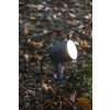 Lutec EXPLORER Tuinspot LED Antraciet, 1-licht