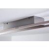 Paul Neuhaus Plafondlamp LED Staal geborsteld, 4-lichts