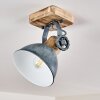 Orny Plafondlamp Grijs, 1-licht