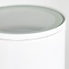 Brachy Buiten muurverlichting LED Wit, 2-lichts