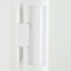 Brachy Buiten muurverlichting LED Wit, 2-lichts