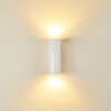 Brachy Buiten muurverlichting LED Wit, 2-lichts