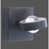 Paul Neuhaus Q-MIA Muurlamp LED Antraciet, 2-lichts, Afstandsbediening