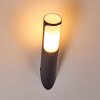 Nalmaibrück Buiten muurverlichting Antraciet, 1-licht
