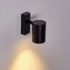 Froslev Buiten muurverlichting LED Zwart, 1-licht