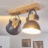 Orny Plafondlamp Grijs, 2-lichts