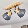 Orny Plafondlamp Grijs, 2-lichts