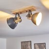 Orny Plafondlamp Grijs, 2-lichts