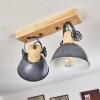 Orny Plafondlamp Grijs, 2-lichts