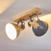 Orny Plafondlamp Grijs, 2-lichts