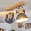 Orny Plafondlamp Grijs, 2-lichts