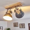 Orny Plafondlamp Grijs, 2-lichts