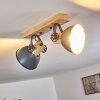 Orny Plafondlamp Grijs, 2-lichts