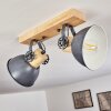 Orny Plafondlamp Grijs, 2-lichts