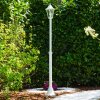 Esteli Padverlichting Wit, 1-licht