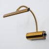 Trio CURTIS Muurlamp LED Oud messing, Messing, 1-licht