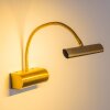 Trio CURTIS Muurlamp LED Oud messing, Messing, 1-licht