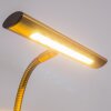 Trio CURTIS Muurlamp LED Oud messing, Messing, 1-licht