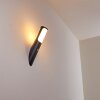 Nalmaibrück Buiten muurverlichting Antraciet, 1-licht, Bewegingsmelder