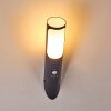 Nalmaibrück Buiten muurverlichting Antraciet, 1-licht, Bewegingsmelder