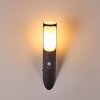 Nalmaibrück Buiten muurverlichting Antraciet, 1-licht, Bewegingsmelder