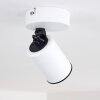 Kullaberg Plafondlamp Wit, 1-licht