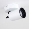 Kullaberg Plafondlamp Wit, 1-licht