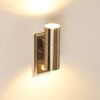 Brachy Buiten muurverlichting roestvrij staal, 2-lichts, Bewegingsmelder