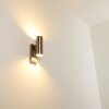 Brachy Buiten muurverlichting roestvrij staal, 2-lichts, Bewegingsmelder