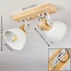 Orny Plafondlamp Wit, 2-lichts
