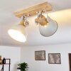 Orny Plafondlamp Wit, 2-lichts