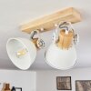 Orny Plafondlamp Wit, 2-lichts