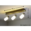 Trio CLAPTON Plafondlamp LED Aluminium, Chroom, roestvrij staal, 3-lichts
