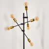 Coppet Staande lamp Zwart-Goud, 6-lichts