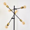 Coppet Staande lamp Zwart-Goud, 6-lichts