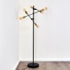Coppet Staande lamp Zwart-Goud, 6-lichts