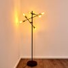 Coppet Staande lamp Zwart-Goud, 6-lichts