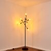 Coppet Staande lamp Zwart-Goud, 6-lichts