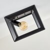 Traryd Plafondlamp Zwart, 1-licht