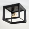 Traryd Plafondlamp Zwart, 1-licht