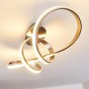 Woyens Plafondlamp LED Staal geborsteld, 1-licht